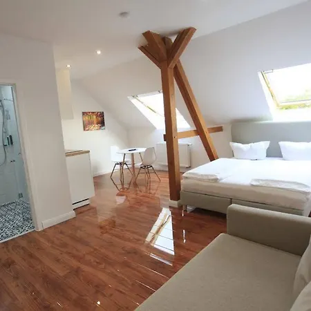 Zollikof Aparts - Sauna & Studioapartments Ξενοδοχείο 3*