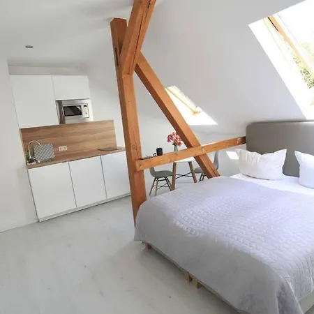Zollikof Aparts - Sauna & Studioapartments 3* Λειψία