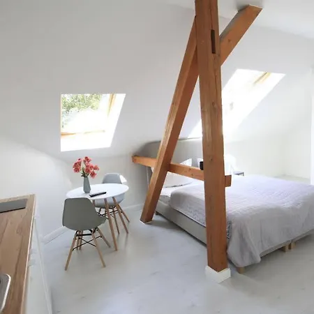 Ξενοδοχείο Zollikof Aparts - Sauna & Studioapartments Λειψία